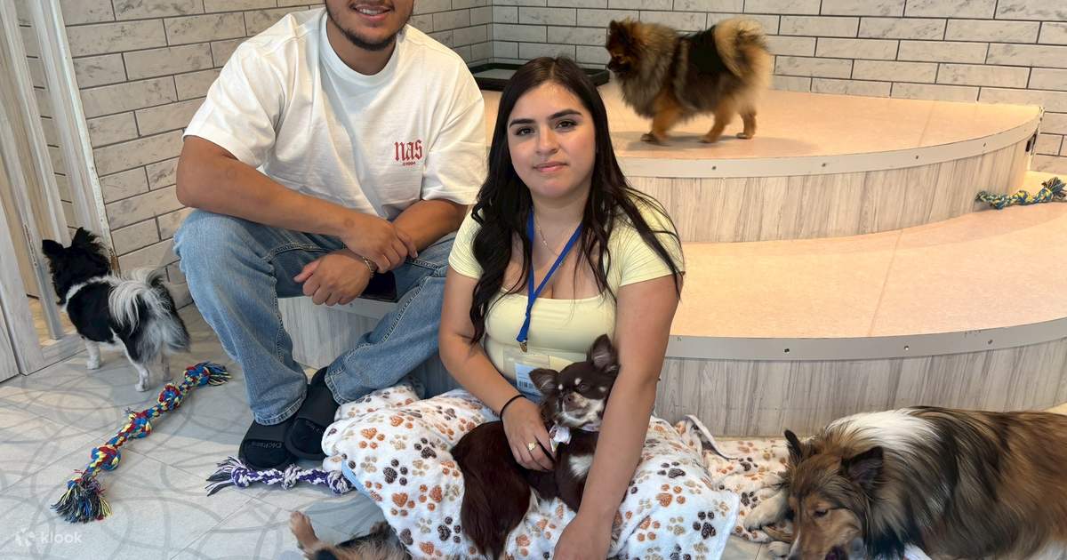 Dog Interaction Experience [Dog Cafe Rio Harajuku] - Klook
